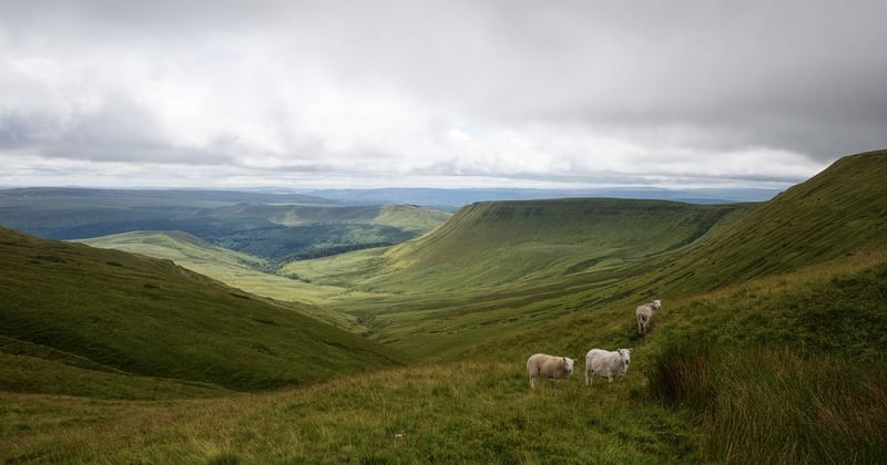 Optimiser ses balises title et meta description : le guide qui booste vos clics